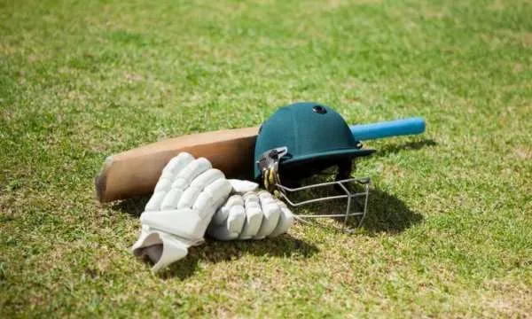 What is the Essential Cricket Kit and How to Choose the Right One?